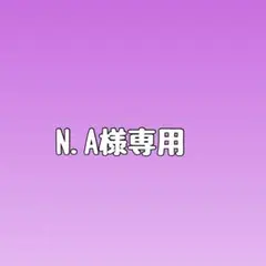 N.A様専用
