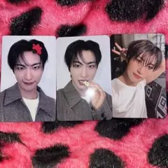 ソンファ タレントカード