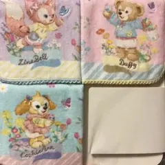 ミニタオル＊カムファインドスプリング