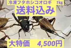 2026年最新】冷凍コオロギの人気アイテム - メルカリ