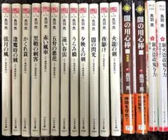 時代小説まとめ売り　鳥羽亮　150冊セット 鳥羽亮 時代小説 文庫本 16冊セット まとめ売り - メルカリ