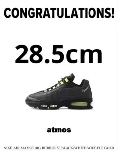 Nike Air Max 95 OG Big Bubble HRJK 28.5
