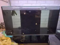 2026年最新】ags of-450の人気アイテム - メルカリ