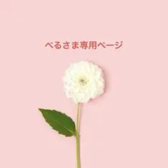 べるさま専用ページ