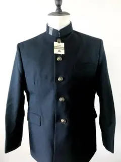 Item thumbnail for item 81a4aae9-8ba8-4078-9b36-1f13522fa16c