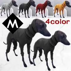 Item thumbnail for item b603c089-49a6-446c-bc1f-be753f03ee64