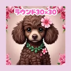 No.1253 ダイヤモンドアートキット ラウンド 犬 プードル