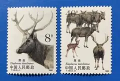 Item thumbnail for item 335bbc39-d79e-476b-80b6-f29d9a025b52