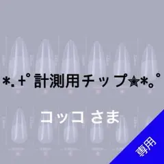 ✦⋆【コッコ 様専用】⋆ ✦計測用ネイルチップ