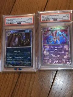 ブラッキー　ニンフィア　マスターボールミラー　psa10　セット　テラスタル