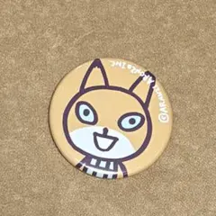 アランジアロンゾ キタキツネ　缶バッジ　スリムボーイ