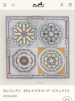 エルメス カレジェアン カレイドスコープエフェクト ショール　大判スカーフ