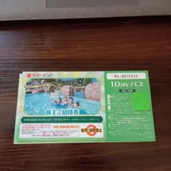 サマーランド　東京都競馬　株主優待　1枚　プールのサムネイル