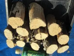 Item thumbnail for item 38d92281-84d0-418c-ab9f-6d2457f1d522