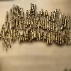 布袋竹ーー80