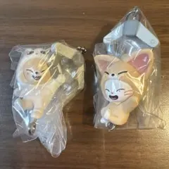 skzoo ガチャ つまつなジニレット フォク シニーソコンイェズ　2点セット