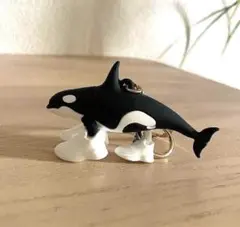 高クオリティ❗️イタリアブレインロット　オルカレロオルカラ