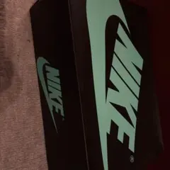 Nike Air Jordan 1 ブラック/ティール