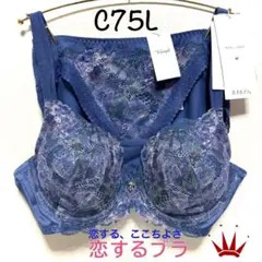 Item thumbnail for item 9b41ceb4-6351-4f19-8564-85f54d39f73b