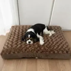 ピノコ様 リクエスト 3点 まとめ商品