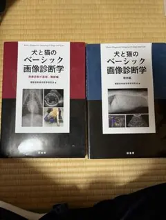 Item thumbnail for item 8d4320ef-5596-4bac-9e5e-29fae64cb35a