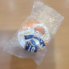 ビッくらポン 日向