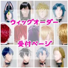 ウィッグオーダー受付❖少数のみ