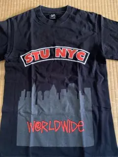 y2k archive OLD STUSSY STU CRU ロゴTシャツ - メルカリ