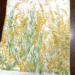 Item thumbnail for item 48e885ba-55eb-47e3-93b3-352ed9cf0c31