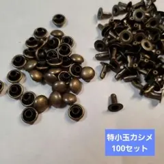 Item thumbnail for item bb0b62b6-d757-4c61-9033-f42847073871