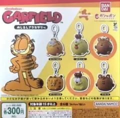 ガーフィールド めじるしアクセサリー ガチャ