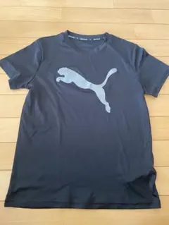 PUMA ドライフィット Tシャツ 黒
