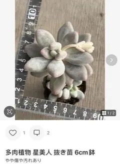 Aiko Shioda Keila様 リクエスト 3点 まとめ商品