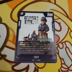 ブルマ FP-061 2枚 - メルカリ