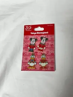 匿名配送/ディズニーリゾート 30th ピンバッジ