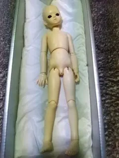 Item thumbnail for item 33713e98-9f07-43ac-9ce4-5e2e0b76f381