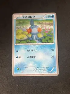 ミズゴロウ ダブルクライシス 購入キャンペーン PROMO XYシリーズ