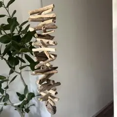 流木 インテリア