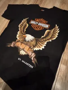 Item thumbnail for item e33f571e-8b98-4fe1-aa7d-fe1dc878df7b