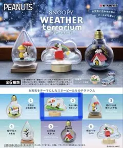 スヌーピー　ウェザーテラリウム　向かい風を味方にしてのサムネイル