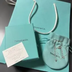 現行品Tiffanyティファニー 空箱巾着ショッパー紙袋 10セット - メルカリ