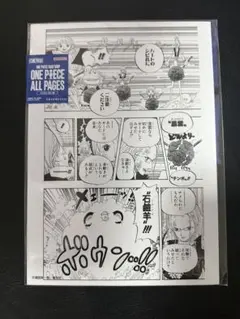 ONEPIECE ワンピース 非売品 トレーディングカード ナミ＆ロビン