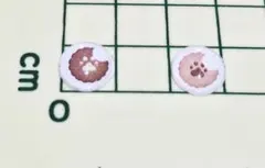 Item thumbnail for item f29908b0-d612-4e21-8b15-a8508db589f1