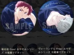中国限定 Free! 椎名旭 アルベルト