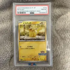 ピカチュウ　プロモ　イラストコンテスト2024 psa8
