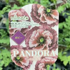 はなこ様 リクエスト 4点 まとめ商品