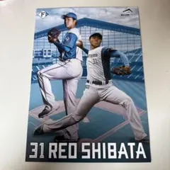 ファイターズ　柴田獅子くんプロ初登板観戦証明書②