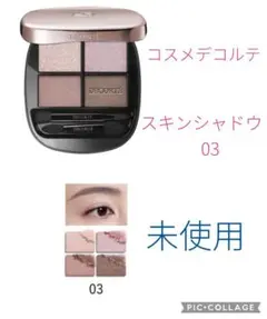 コスメデコルテ スキンシャドウ デザイニングパレット 03 Wisteria