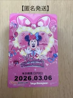 【匿名発送】使用済ミニーのファンダーランドデザインフリーきっぷ パルパルーザ