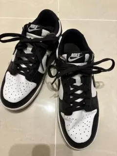 NIKE DUNKレディース24cm